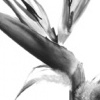 untitled 7