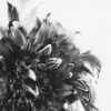 untitled 14