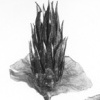 untitled 8