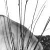 untitled 3