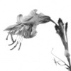 untitled 10