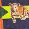 Rez Dog Shawl detail
