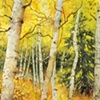 Wind in the Aspens