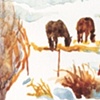Along the Elk River