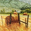 Elk River Ranch