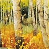 Hidding in the Aspens