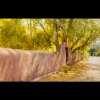 Santa Fe Shadows