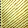 The Weather Book 6