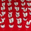 200 Bunnies, closeup