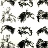 Wig Wallpaper closeup