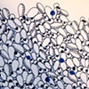 Drawings 2009