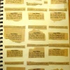 The Weather Book 1