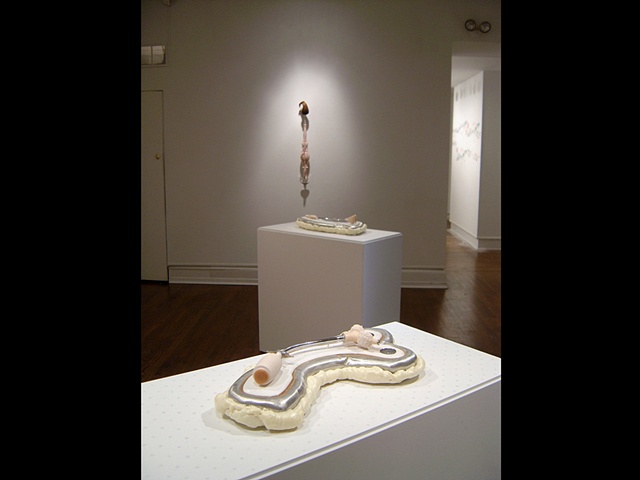 DELICATE CONSTITUTION: REDISCOVERING THE DECORATIVE AESTHETICS