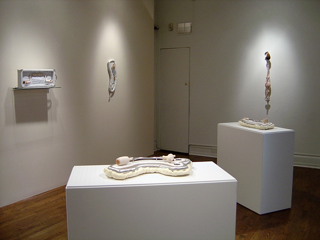 DELICATE CONSTITUTION: REDISCOVERING THE DECORATIVE AESTHETICS