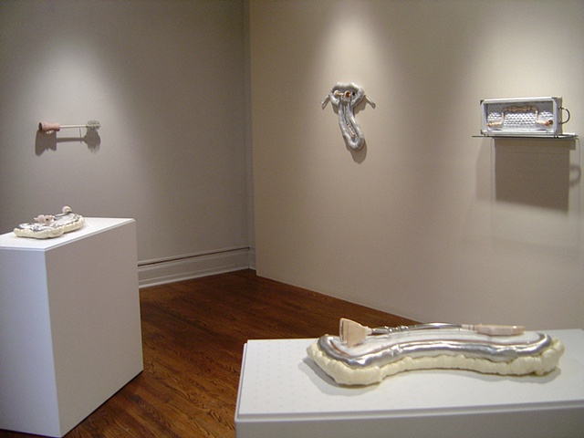 DELICATE CONSTITUTION: REDISCOVERING THE DECORATIVE AESTHETICS