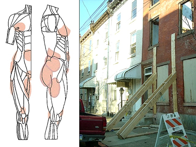 MAP OF FAT PADS AND CONSTRUCTION