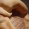 SKIN CORE DETAIL