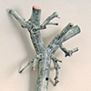 BUILDING BRANCH DETAIL