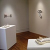 DELICATE CONSTITUTION: REDISCOVERING THE DECORATIVE AESTHETICS