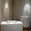 DELICATE CONSTITUTION: REDISCOVERING THE DECORATIVE AESTHETICS
