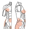 MAP OF FAT PADS AND CONSTRUCTION