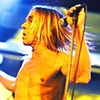 the stooges