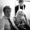 the violets