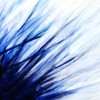 elements