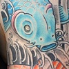 koi duo