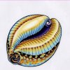 Cowry