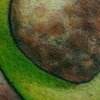 avacado
