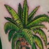 palmtrees