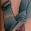 hammerhead