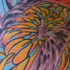 red koi inner arm mum