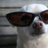 google6b451ff7971e41e0.html