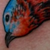 bird on ribs