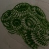 shellmech studies