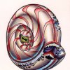 When Nautilus Attack!