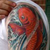 Koi Fest