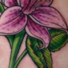 tigerlilies...