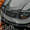 Audi TT with Speaker Snake