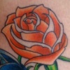 rowse