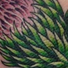 thistle