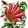Passionflower