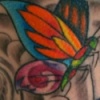 Nikki arm