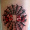 Diceweb