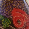 redkoi