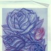 Rose Study
