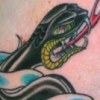 Eagle Snakes