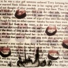 Embers